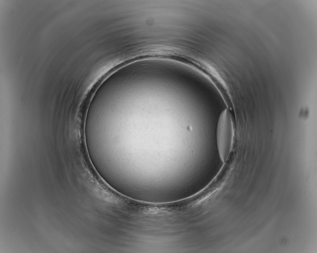 X0000090480835200707201414