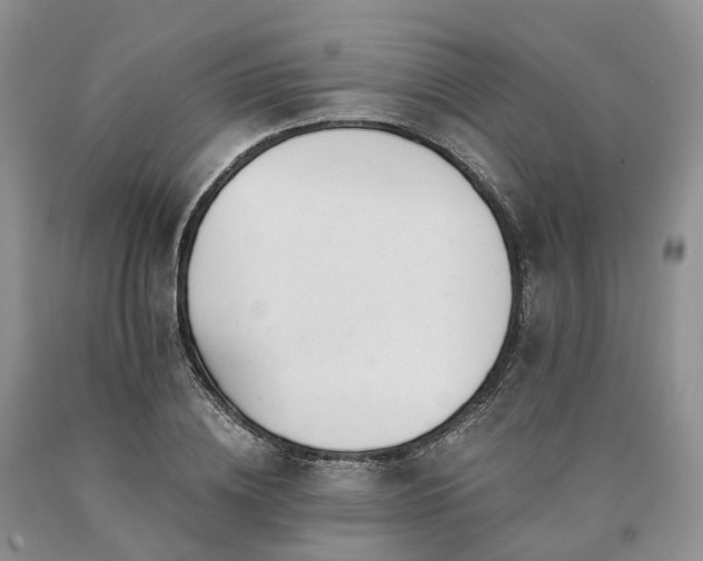 X0000090480836200707201414