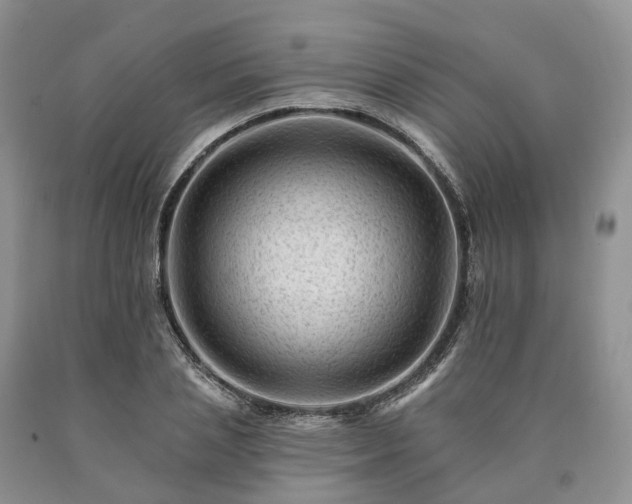 X0000090480837200707201414