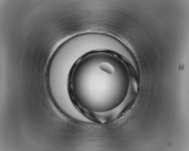 X0000090480838200707201414