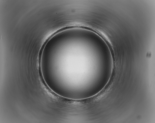 X0000090480839200707201414