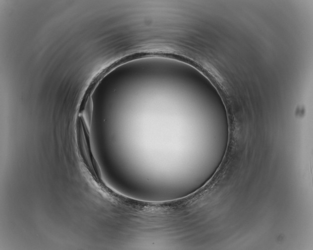 X0000090480840200707201414