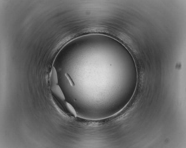 X0000090480841200707201414