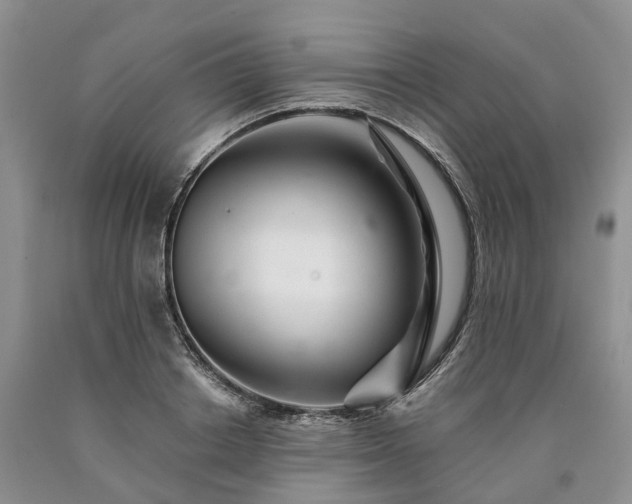 X0000090480842200707201414