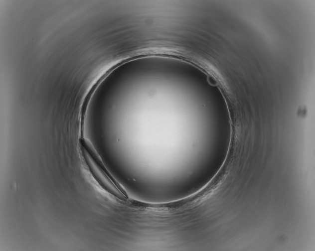 X0000090480844200707201414