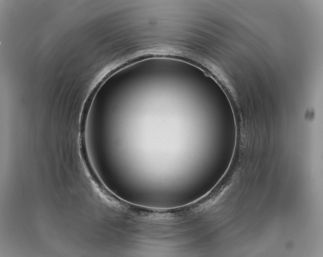X0000090480845200707201414