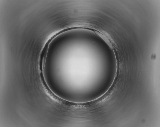 X0000090480846200707201414