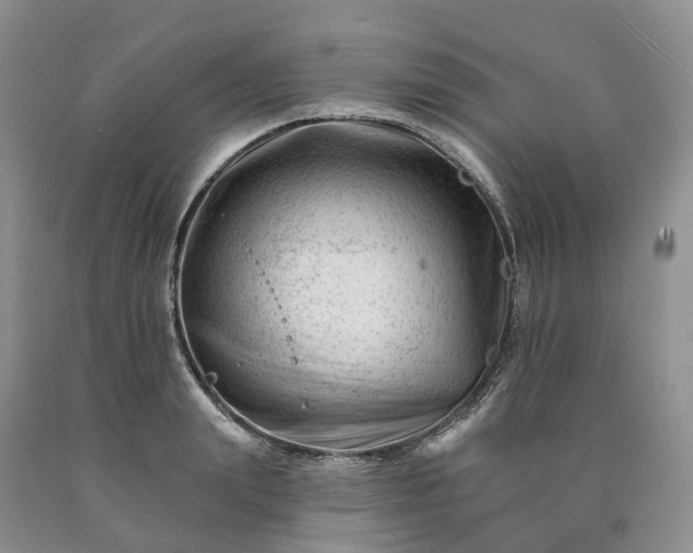 X0000090480847200707201414