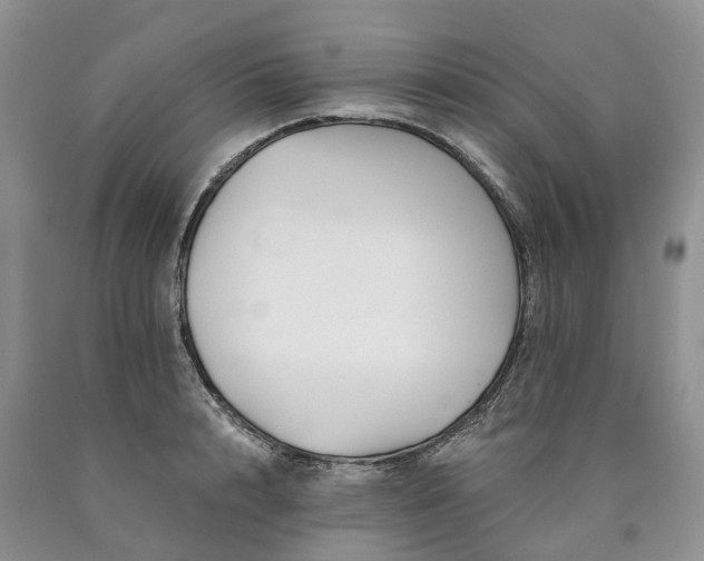 X0000090480848200707201414