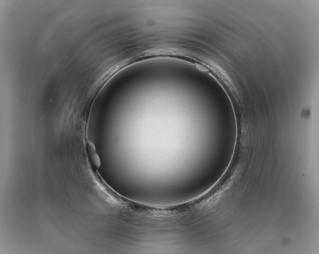 X0000090480849200707201414