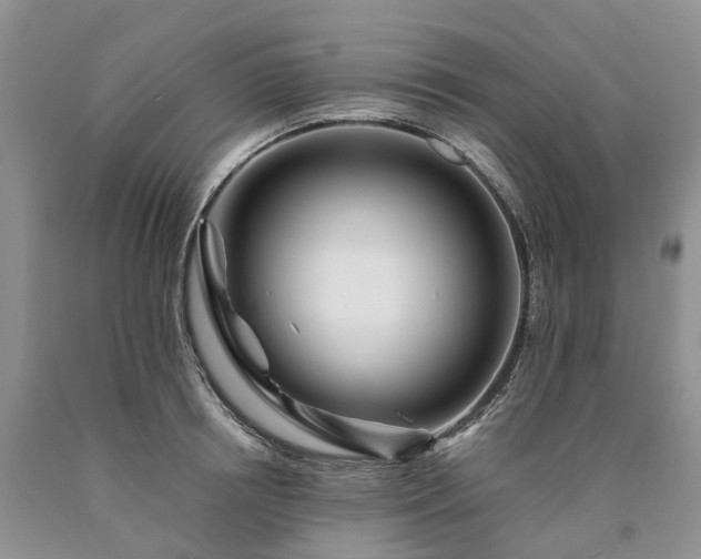 X0000090480850200707201414