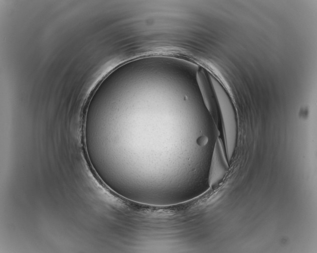 X0000090480851200707201414