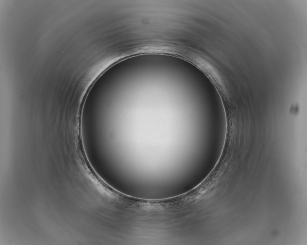X0000090480852200707201414