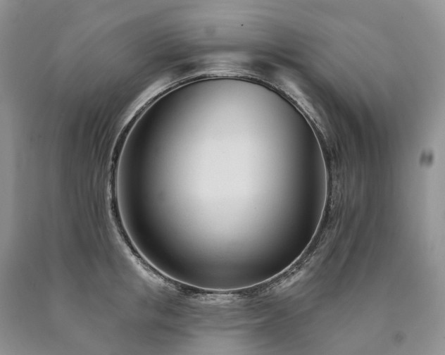 X0000090480853200707201414