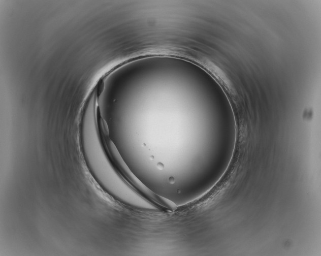 X0000090480854200707201414