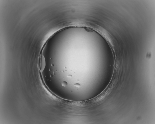 X0000090480855200707201414