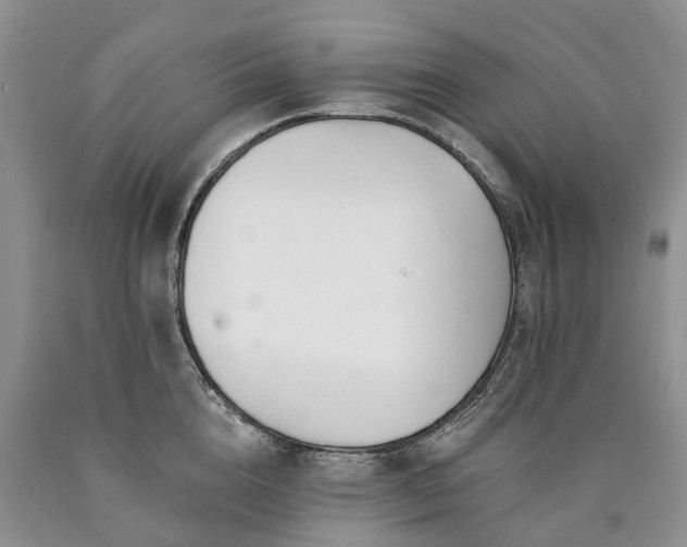 X0000090480856200707201414