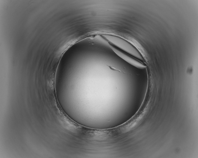 X0000090480857200707201414