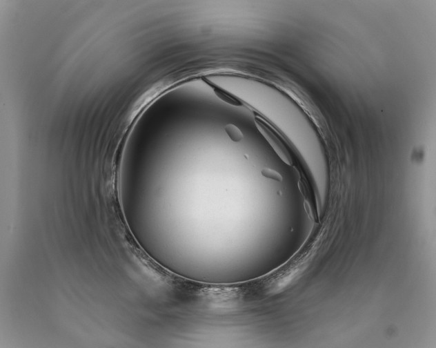 X0000090480858200707201414