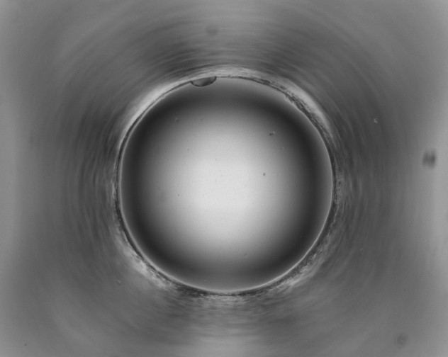 X0000090480860200707201414