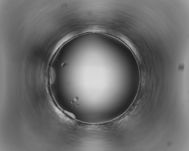X0000090480861200707201414