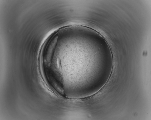 X0000090480864200707201414