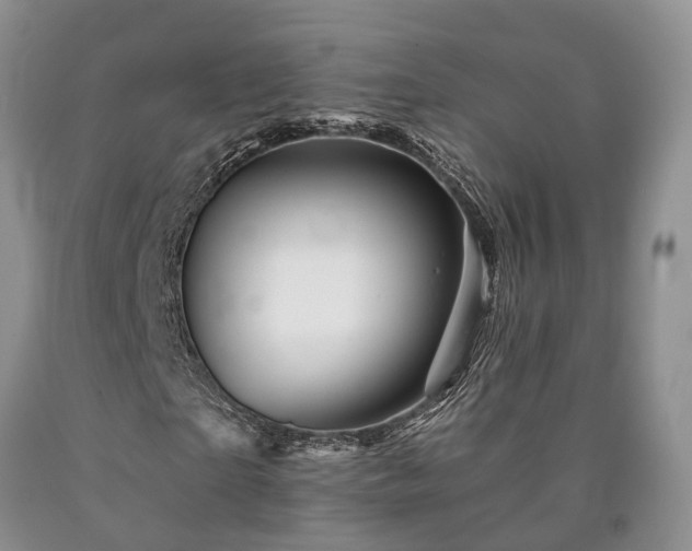 X0000090480865200707201413