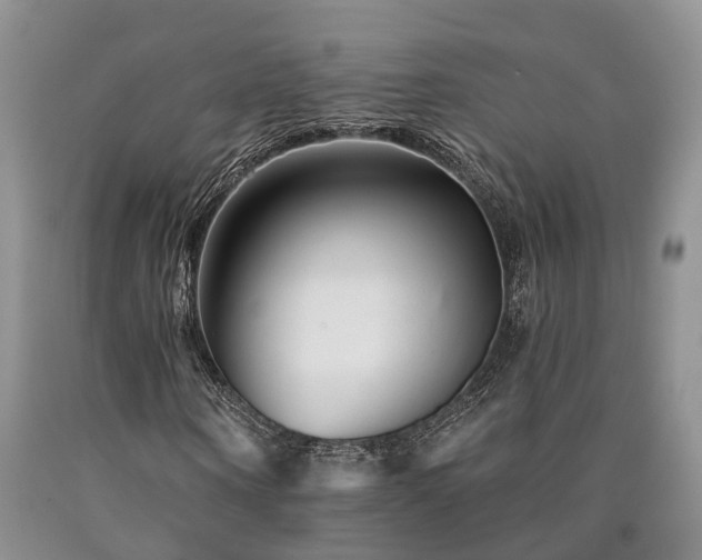 X0000090480866200707201413