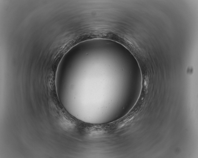 X0000090480867200707201413