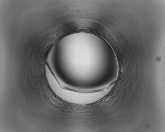 X0000090480868200707201413