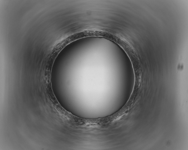 X0000090480870200707201413