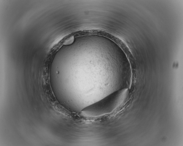 X0000090480871200707201413