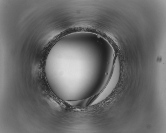 X0000090480872200707201413