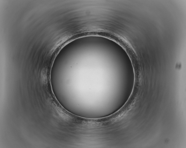 X0000090480873200707201413