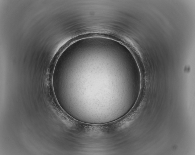 X0000090480875200707201413