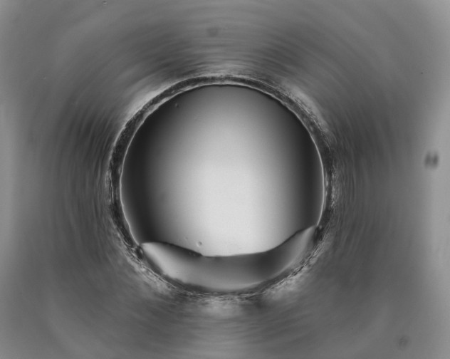 X0000090480876200707201413