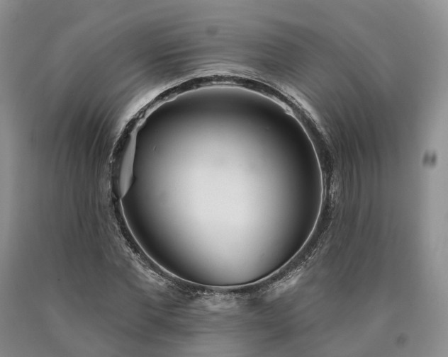 X0000090480877200707201413