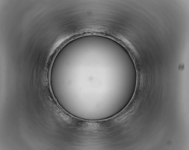 X0000090480878200707201413