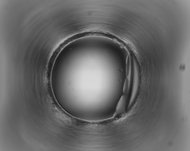 X0000090480880200707201413