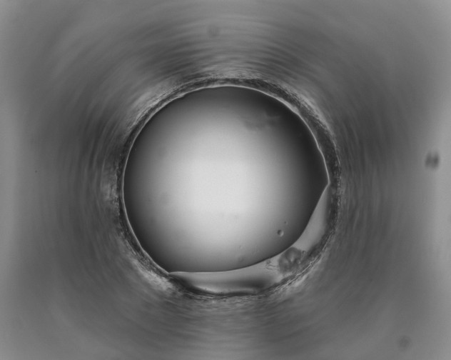 X0000090480881200707201413