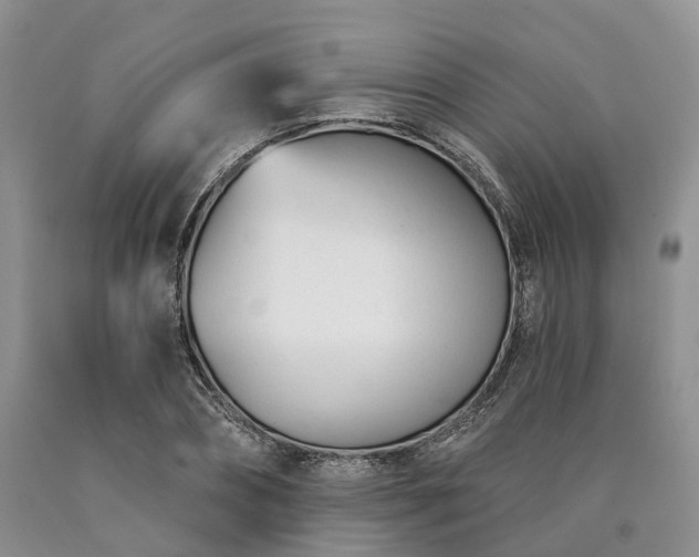 X0000090480882200707201413