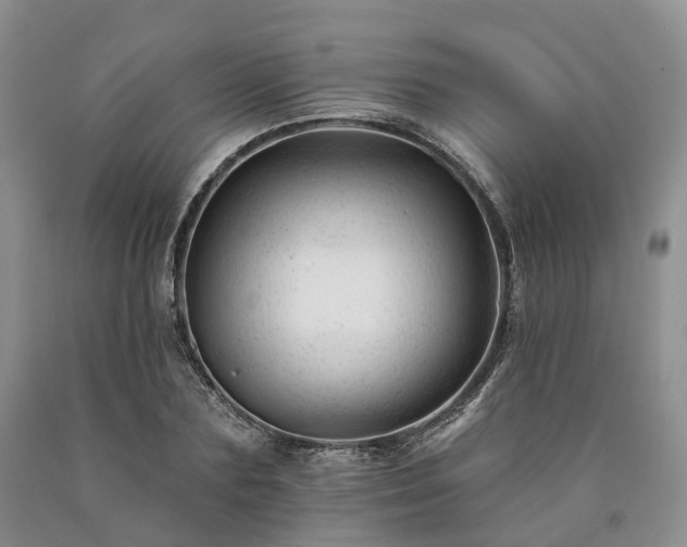 X0000090480883200707201413