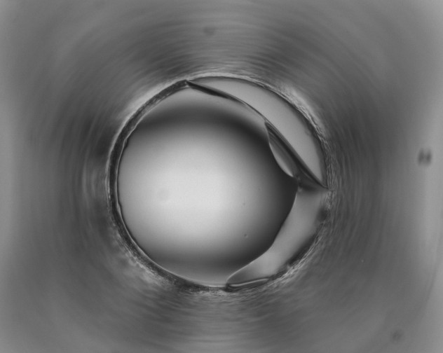 X0000090480884200707201413