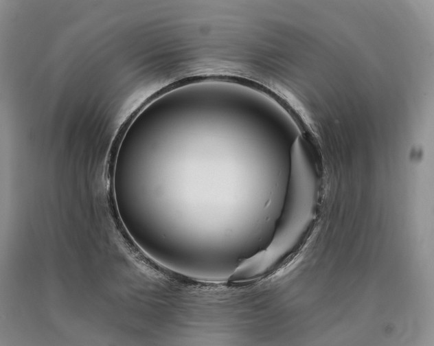 X0000090480885200707201413