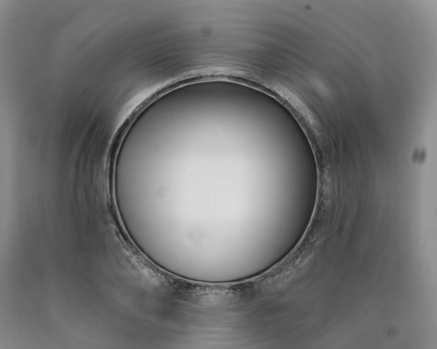 X0000090480886200707201413