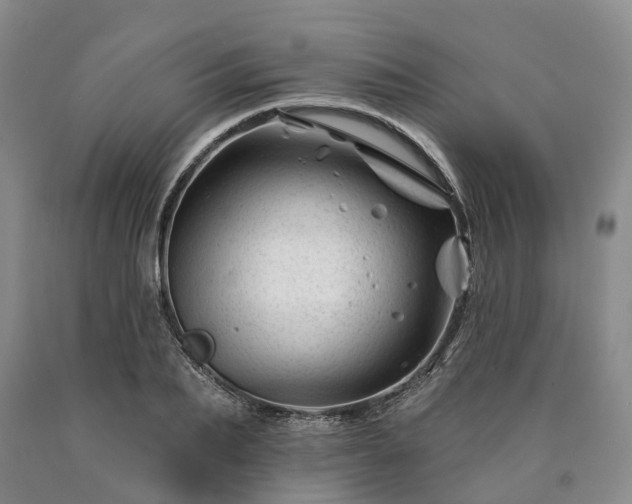 X0000090480887200707201413