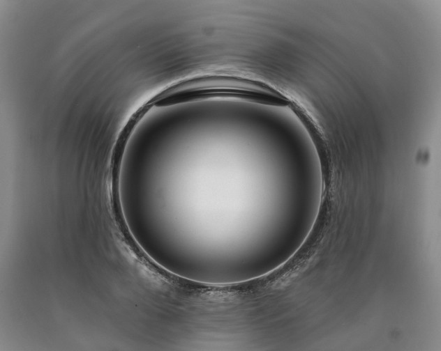 X0000090480888200707201413