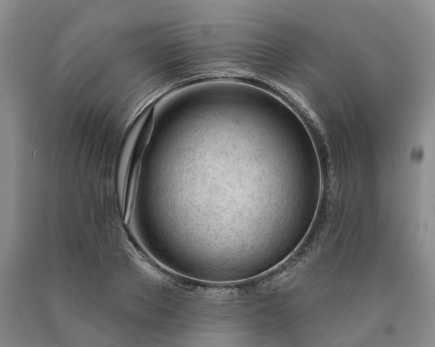 X0000090480889200707201413