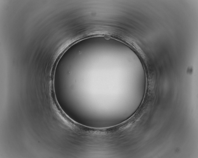 X0000090480890200707201413