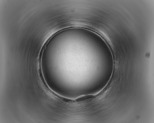 X0000090480891200707201413